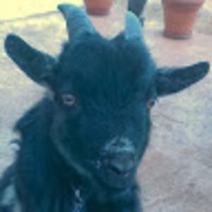 Meet your Posher, Jacob